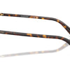 Swarovski Sunglasses