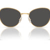 Swarovski Sunglasses