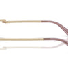 Swarovski Sunglasses