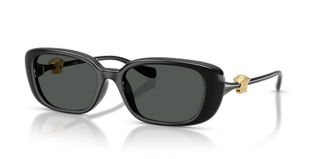 نظارات شمس فيرساتشي