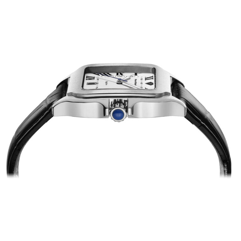 Pierre Richardson Watch