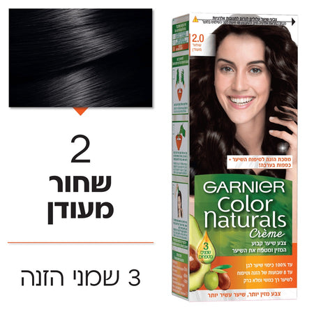 Garnier 2 Black Hair Color Hair Color