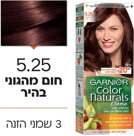 Garnier 5.25 Brown Hair Color Hair Color