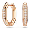 Swarovski Dextera Earrings