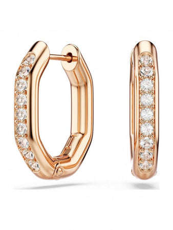 Swarovski Dextera Earrings
