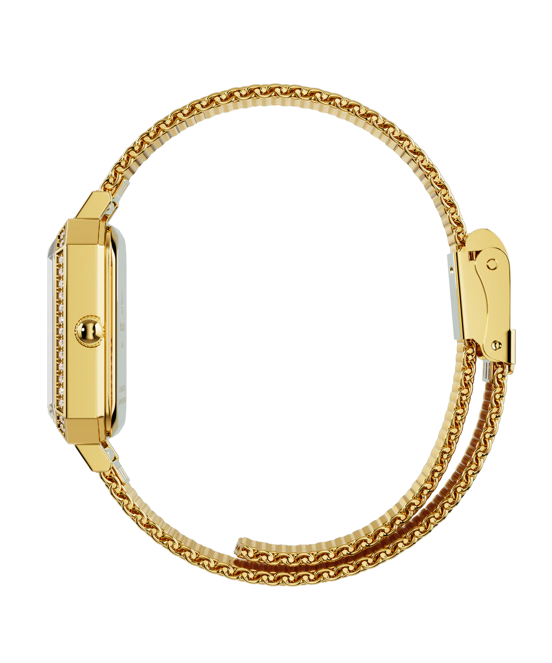 Paul Rich Icon Watch