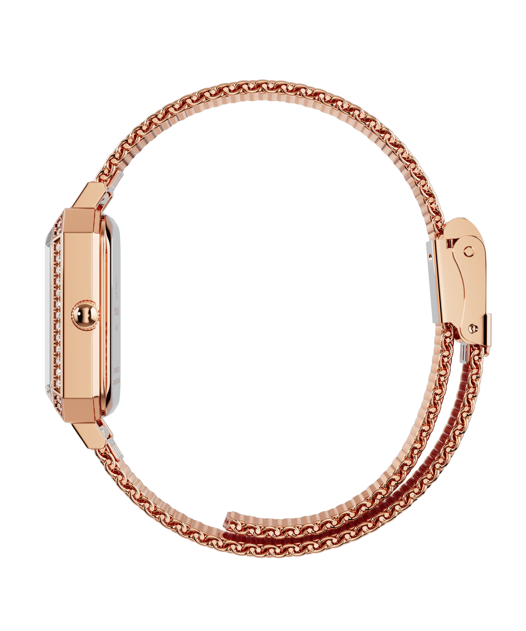 Paul Rich Icon Watch