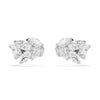 Swarovski Mesmera Earrings