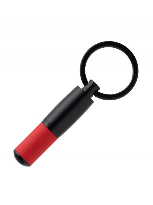 Hugo Boss Keychain