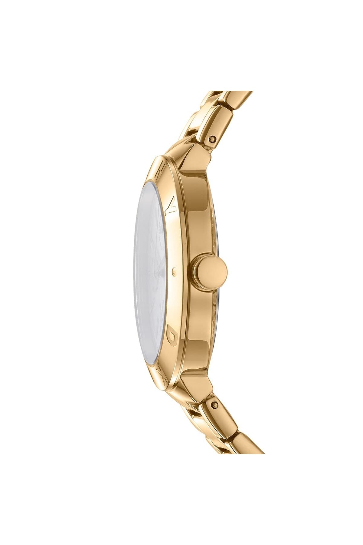 DKNY Donna Karen Watch