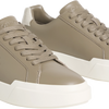 Calvin Klein Chunky Cups Laceup Lth Bt Croc Sneaker