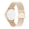 Calvin Klein Iconic Mesh Watch