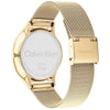Calvin Klein Timeless Multifunction Watch