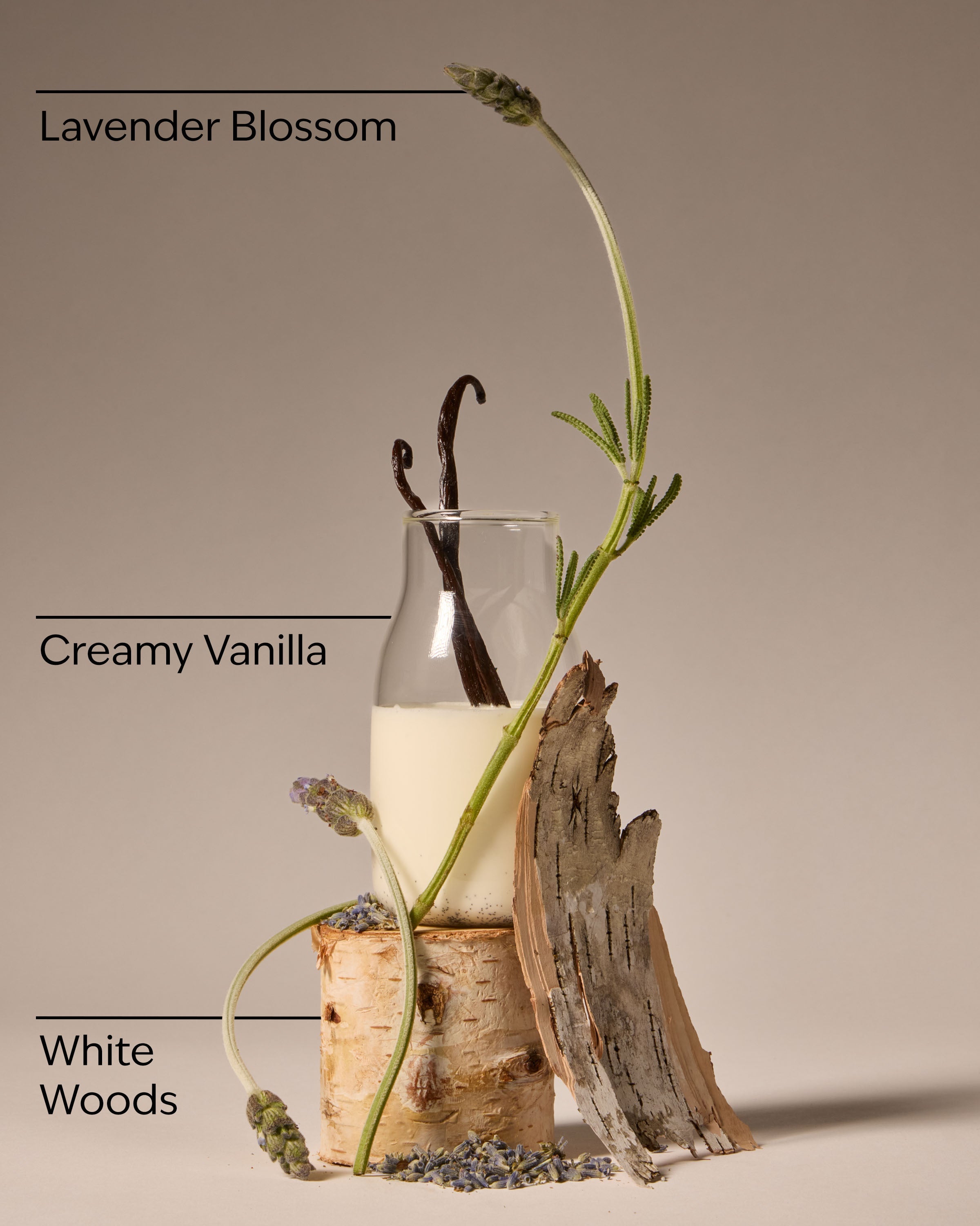 Bath & Body Works Lavender Vanilla Mini Gift Set