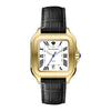 Pierre Richardson Watch