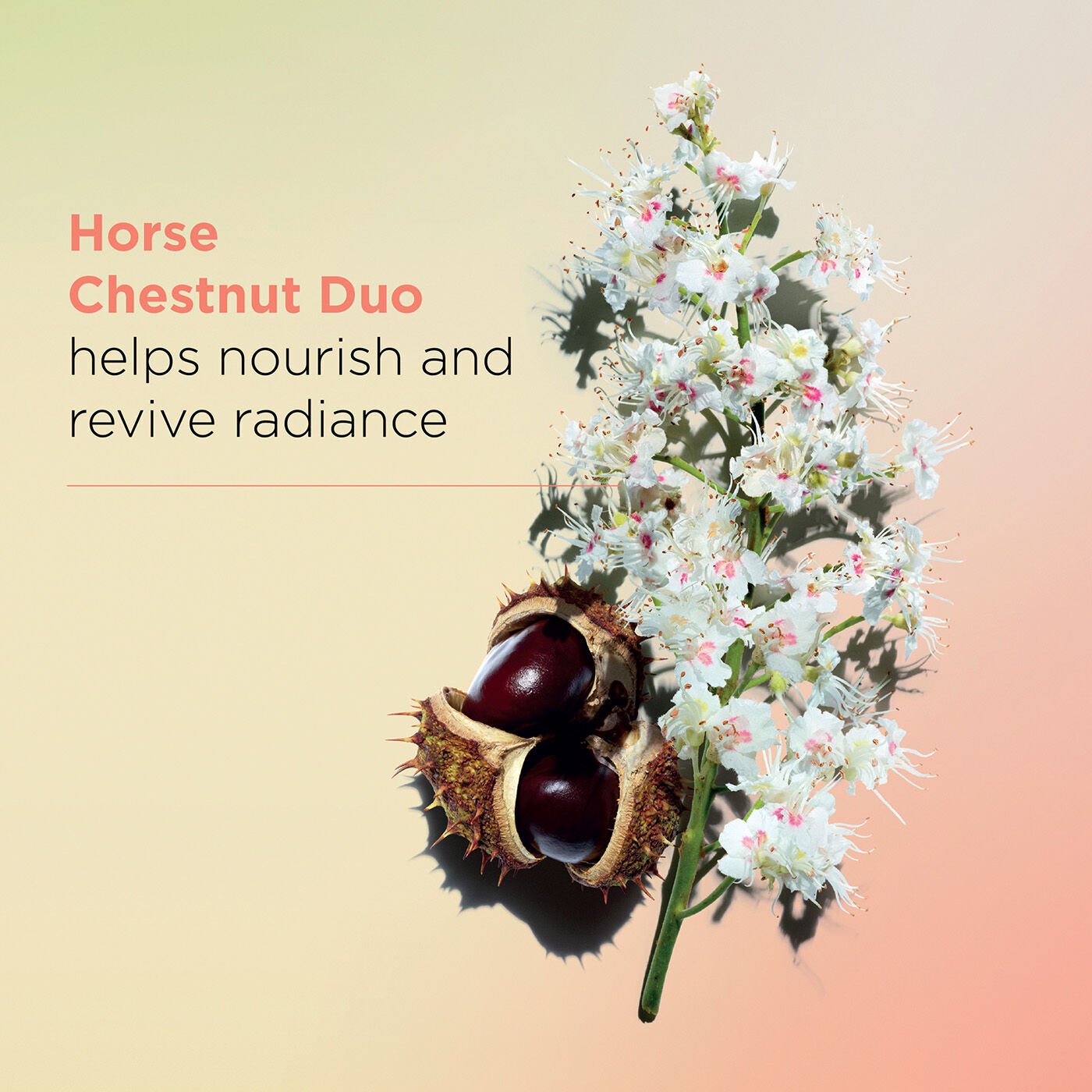 كلارينس كريم الليل "نوتري لوميير 50ml