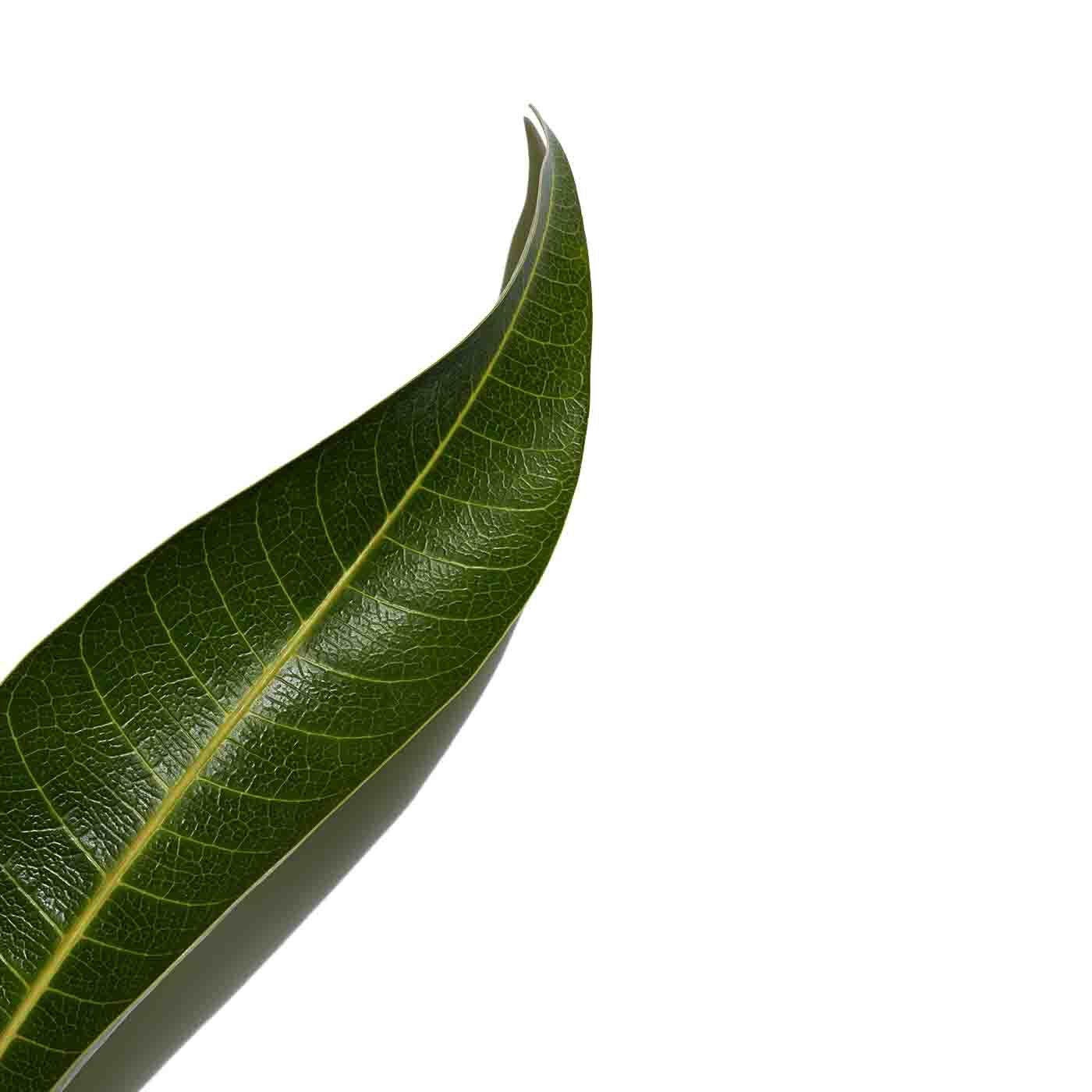 Clarins UV PLUS Anti-Pollution Translucent 30ml