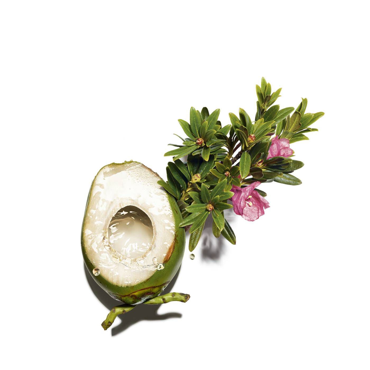 كلارينس كريم مايكلارينس ري-بوست الغني المغذي 50ml