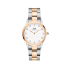 Daniel Wellington Watch