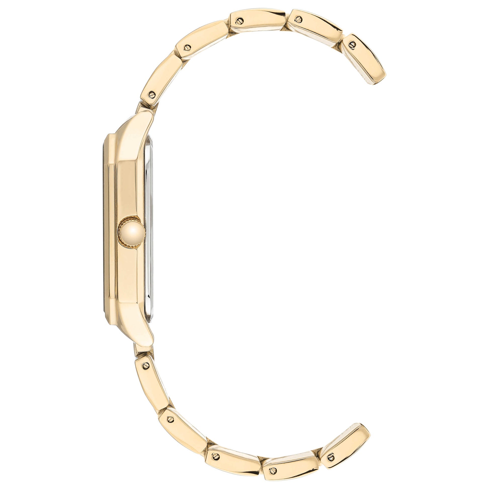 Anne Klein Watch