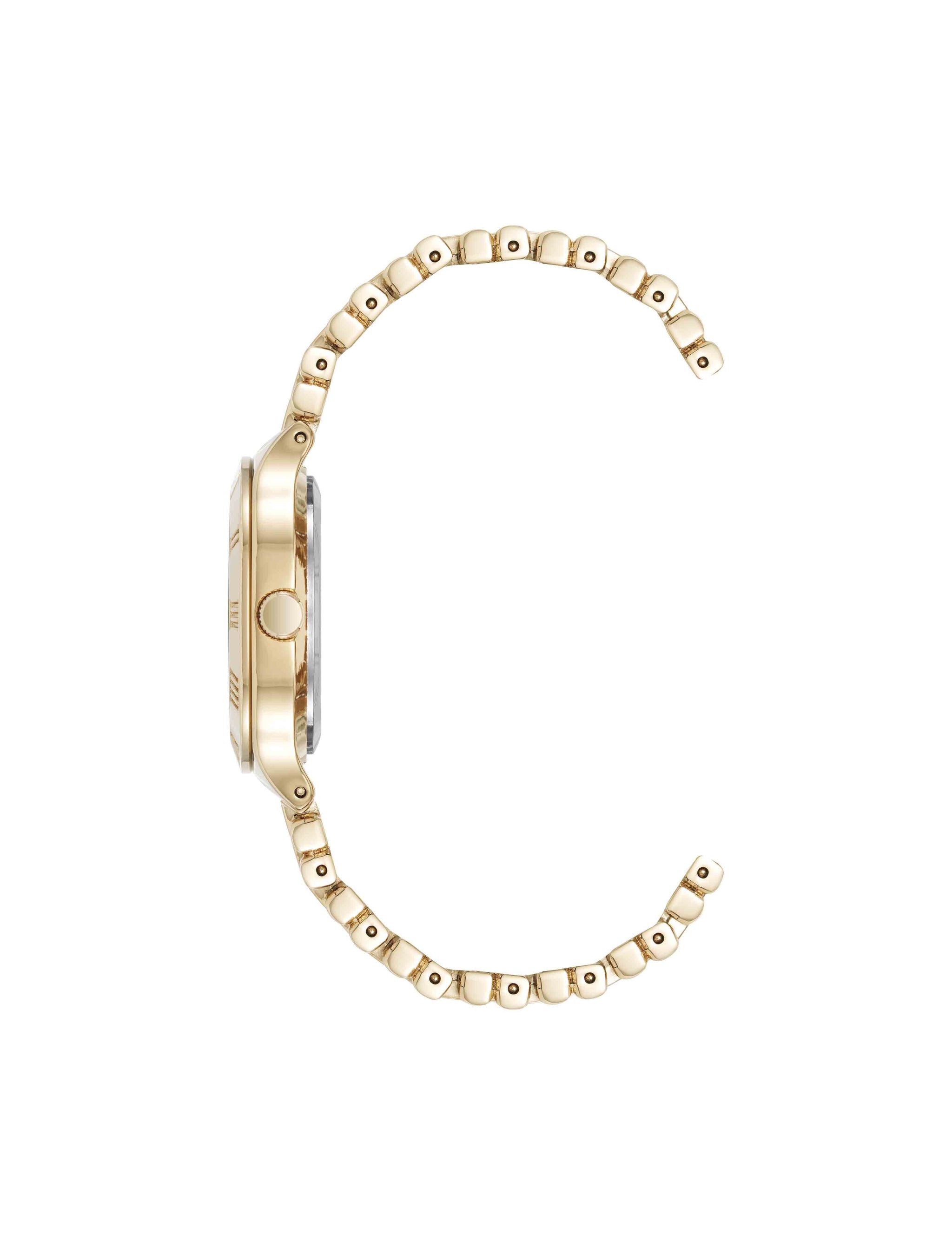 ساعة آن كلاين Iconic