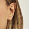 Danon Earrings