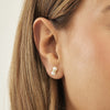 Danon Earrings