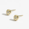 Danon Earrings