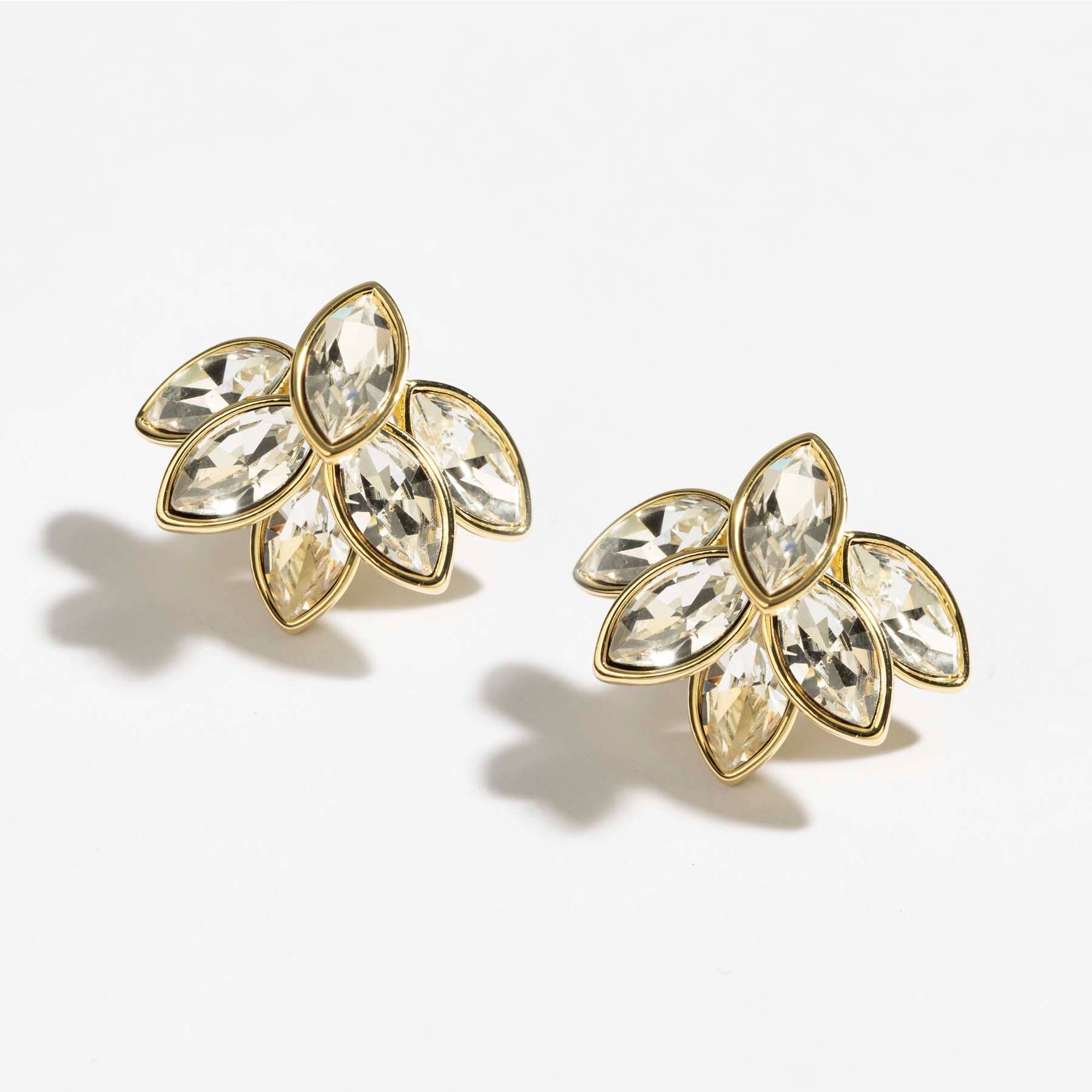 اقراط دانون