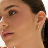 اقراط دانون Faye