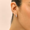 اقراط دانون Livia
