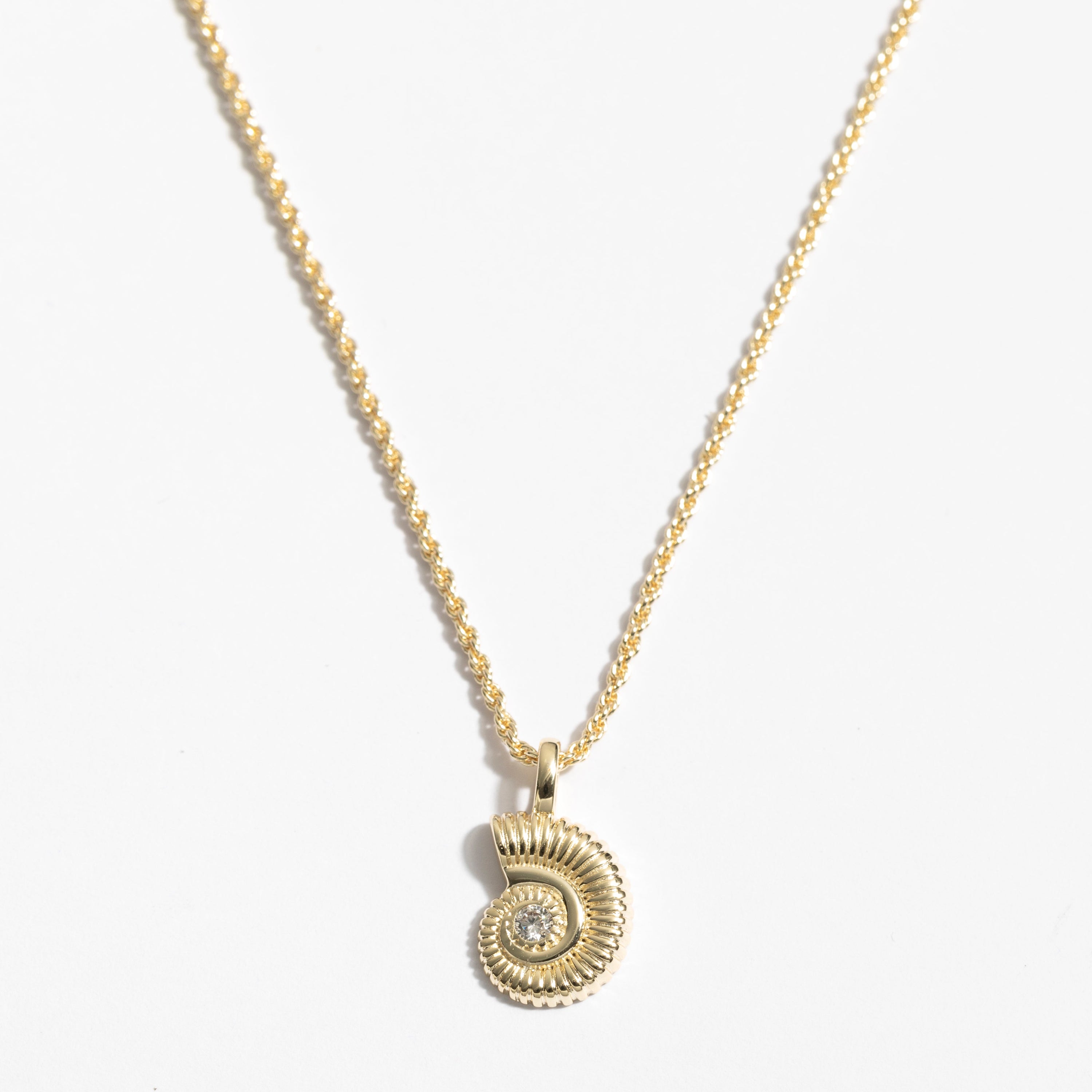 عقد دانون Shell