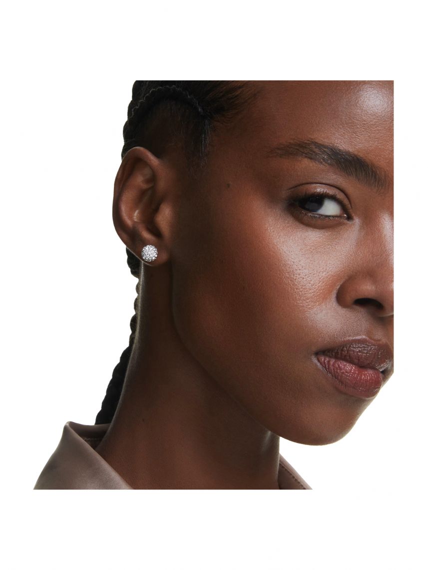 Swarovski Dextera Earrings