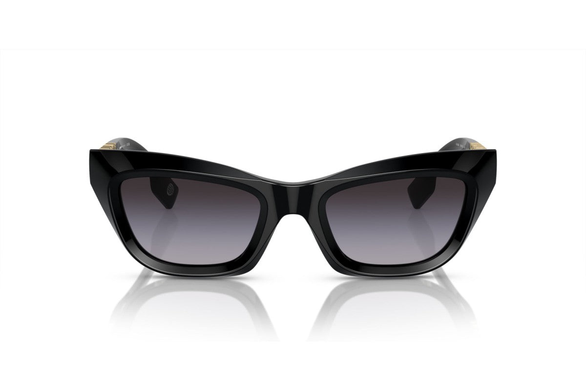 نظارات شمس بربري