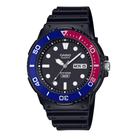 Casio Standard Watch