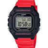 Casio Standard Watch