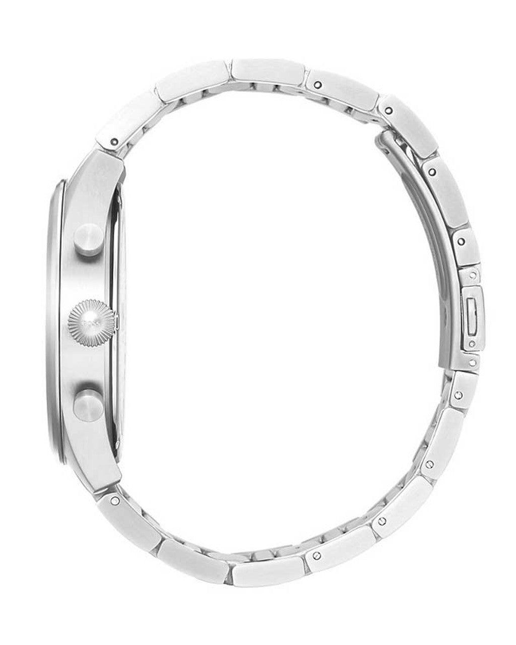 Hugo Boss Professional Watch