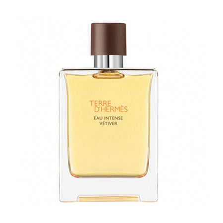 Hermes Terre D'hermes Intense Vetiver EDP 100ml Perfume