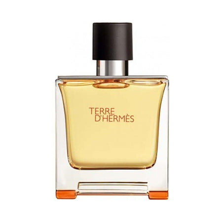 Hermes Terre D'hermes Pure Parfum 75ml Perfume
