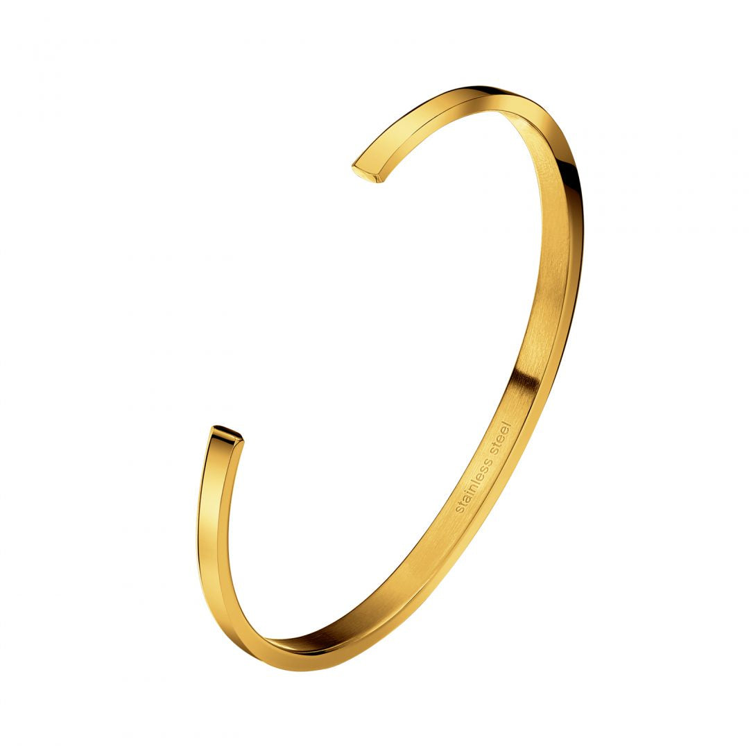 اسوارة بيير ريتشاردسون