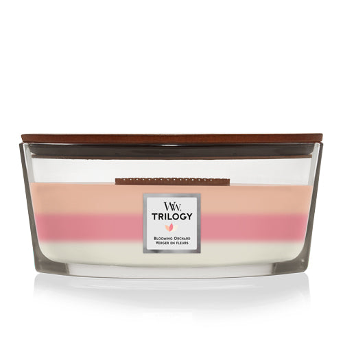 شمعة معطرة وودويك Trilogy Blooming Orchard Ellipse Jar