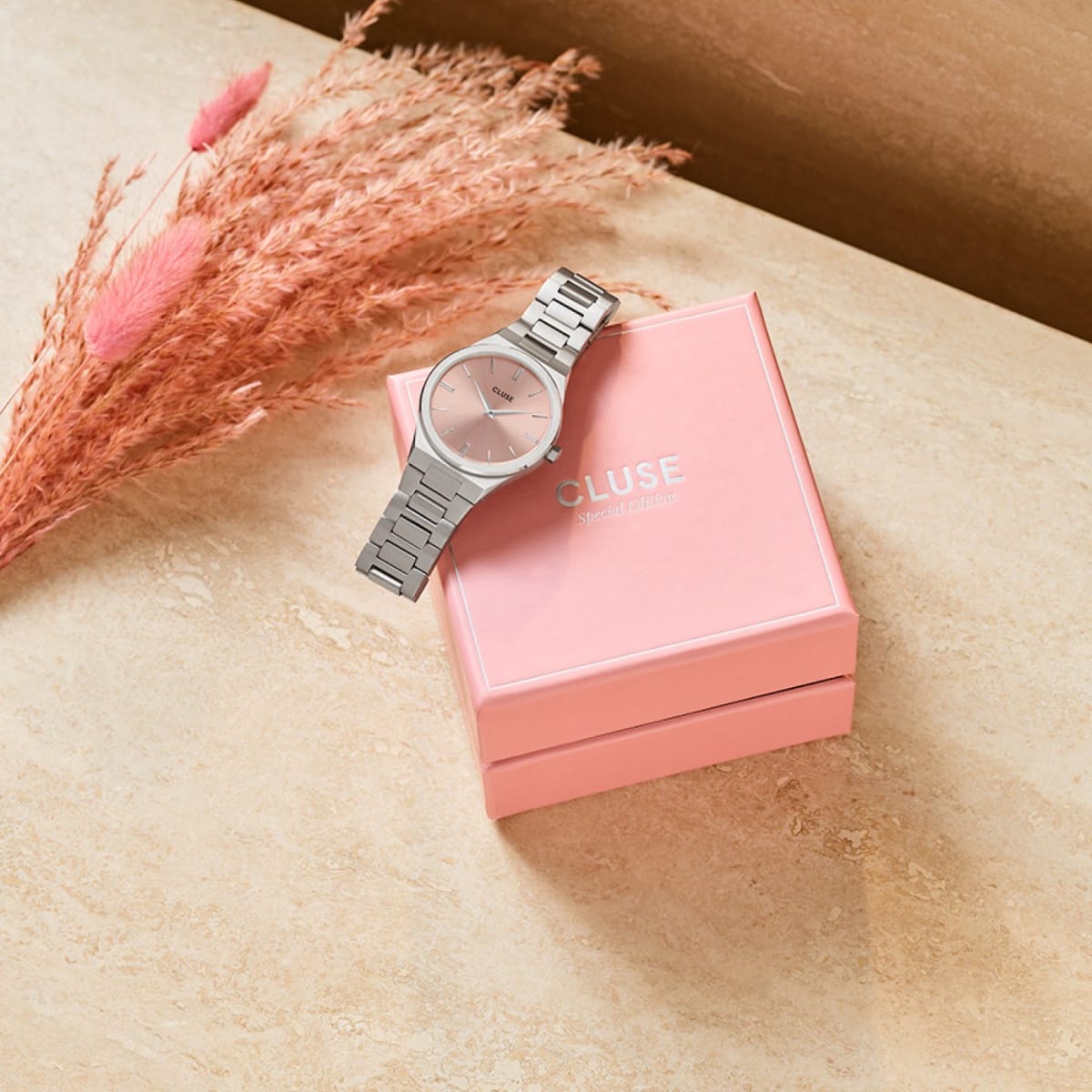 Cluse Vigoureux Silver Colour By Katharina Watch