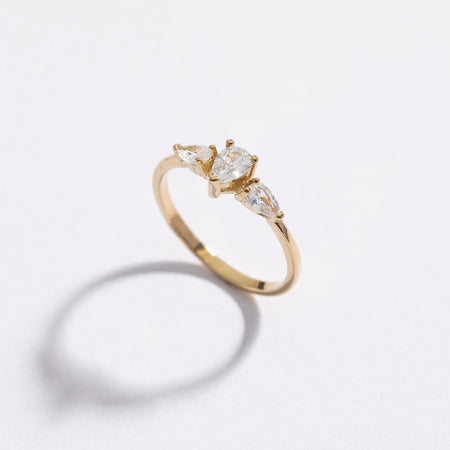 Danon Ring