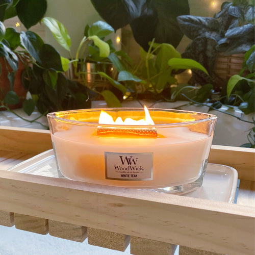 شمعة معطرة وودويك White Teak Ellipse Jar