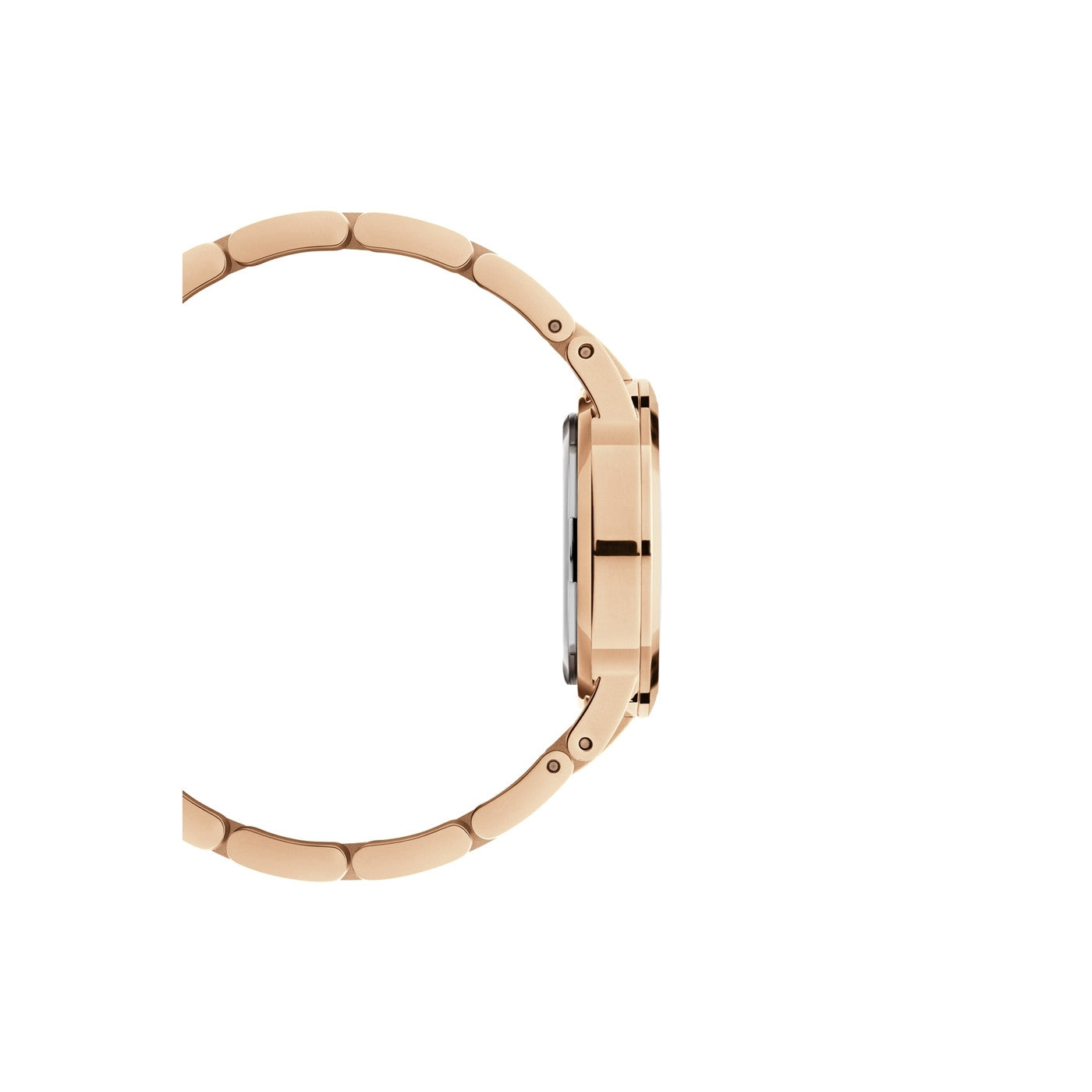 Daniel Wellington Petite Sterling Watch